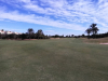 T1GREEN