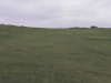 T11