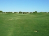 t1green