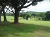 Selborne1.jpg