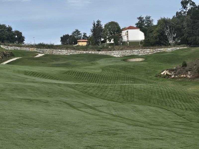 T10GREEN