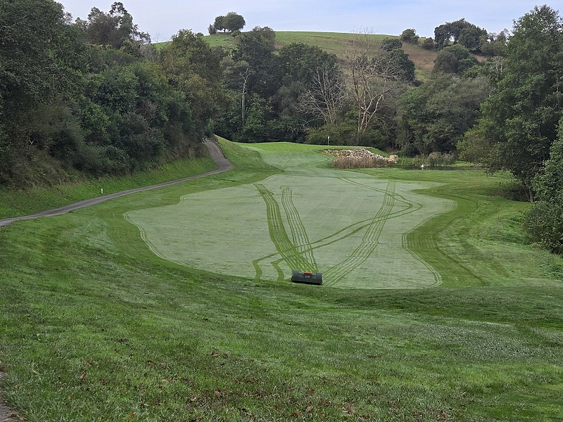 T13GREEN