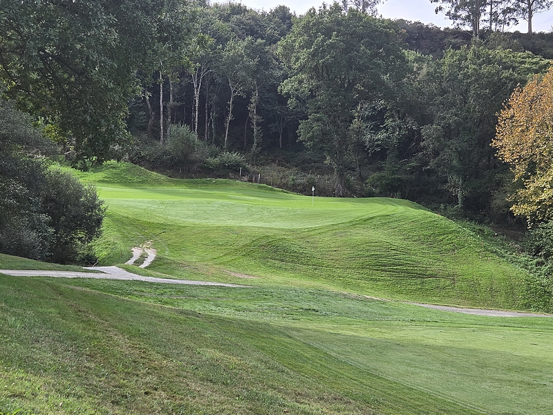 T14GREEN