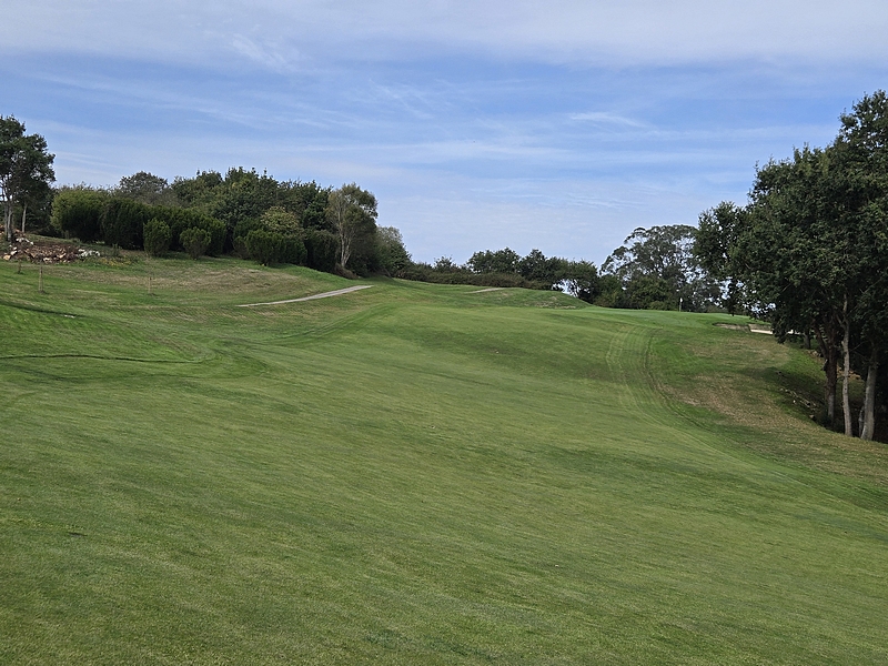 T17GREEN