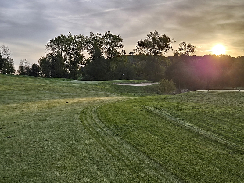 T1GREEN