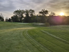 T1GREEN