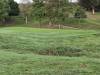 T3GREEN