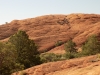DSCN4611
