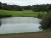 t12