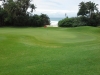 t3green