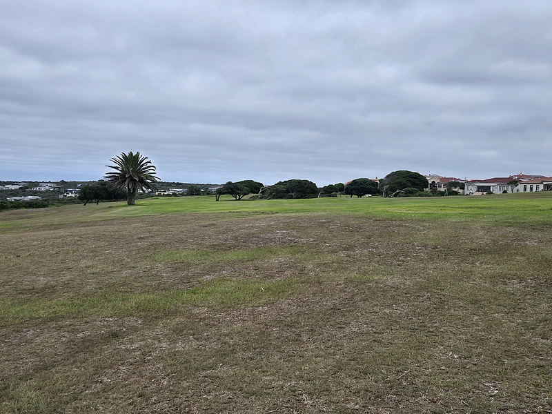 T1GREEN-1