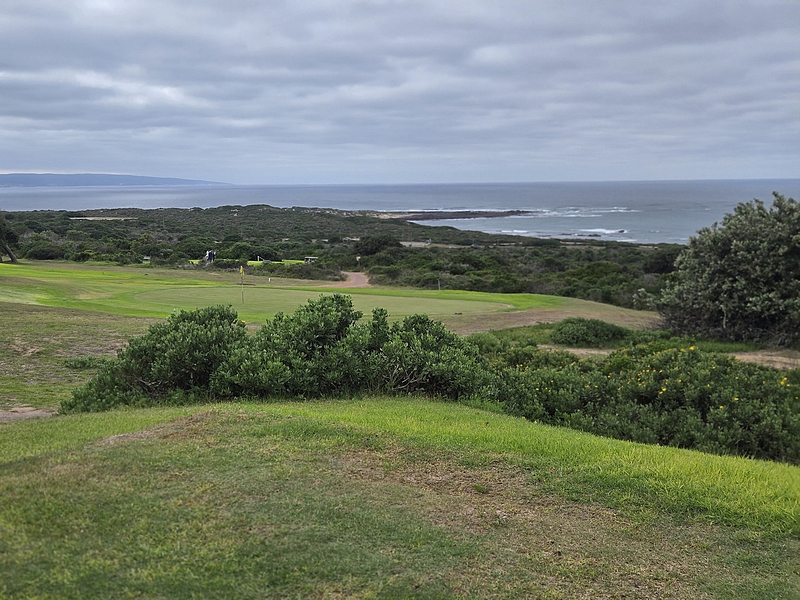 T1GREEN-2