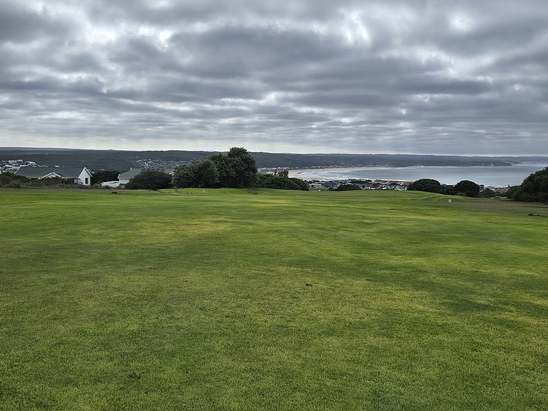 T3GREEN