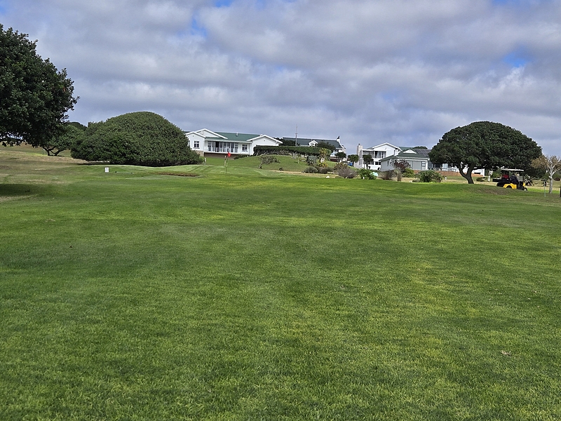 T5GREEN