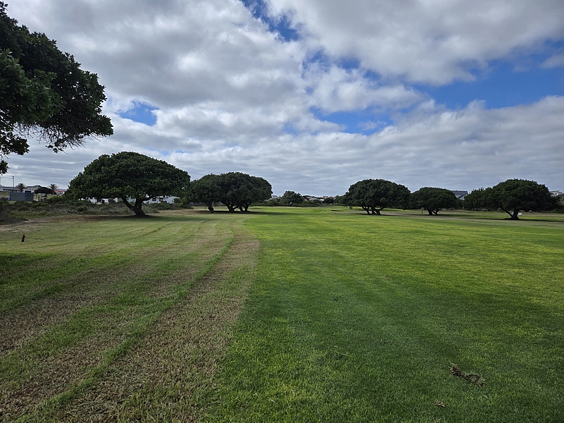 T6GREEN