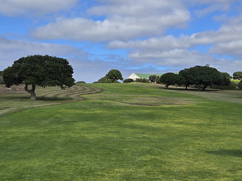 T7GREEN