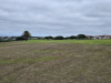T1GREEN-1