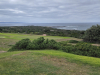 T1GREEN-2