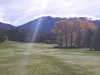 13green
