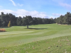 15green