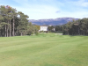18green