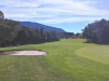 3green