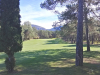 4green