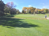 5green