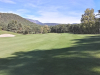6green