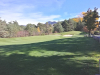 7green