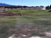 T5GREEN