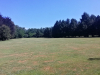 T12GREEN