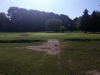 T15GREEN