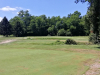 T1GREEN