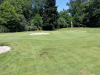 T3GREEN