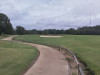 T16GREEN