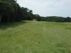 t11