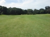 t14green