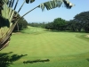 t13green