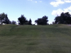 T5GREEN