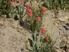 DSCN7170