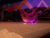 DSCN7796
