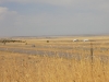 DSCN7851