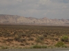 DSCN7906