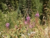 DSCN7982