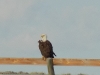 DSCN7217