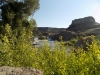 DSCN7354
