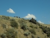 DSCN7379