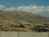 DSCN7381