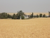 DSCN7470